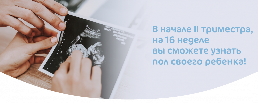 Узи на втором триместре
