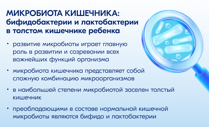 Микробиота кишечника: бифидобактерии и лактобактерии в толстом кишечнике ребенка