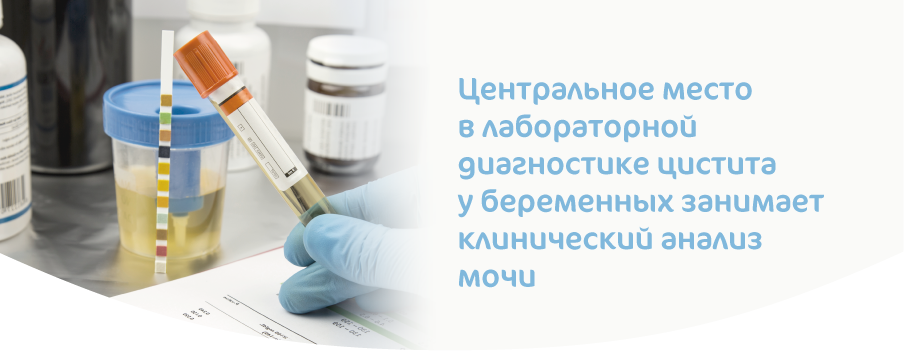 Лечение и профилактика цистита при беременности